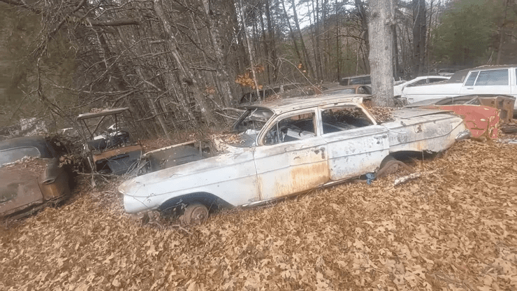 Раритеты под открытым небом: в лесу нашли большое кладбище редких ретро-автомобилей (ВИДЕО) 1 6534759c7005eb4cb6290d9f2a559b9a