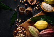 Кто такой фронтенд-разработчик и почему это важно